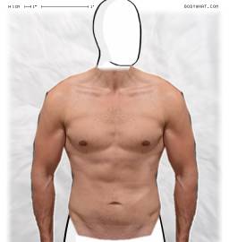 Torso