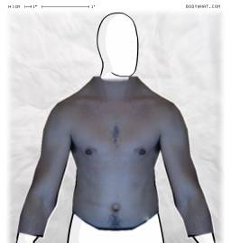 Torso