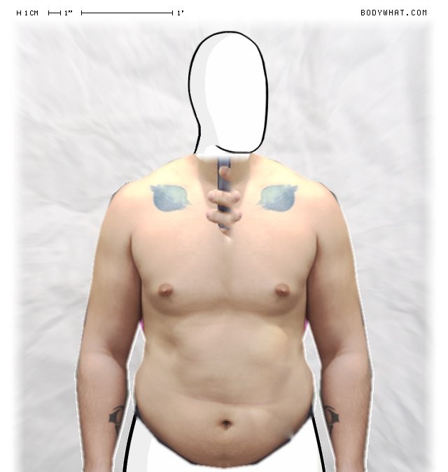 Picture 1