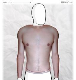 Torso