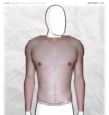 Muscle Morphing