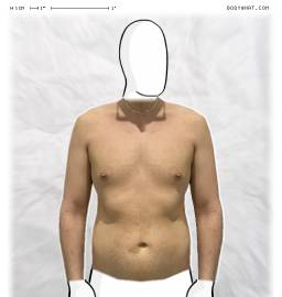 Torso