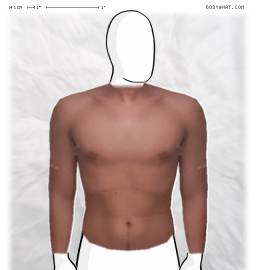 Torso