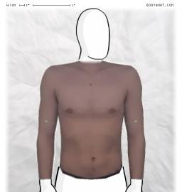 Torso