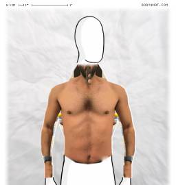 Torso