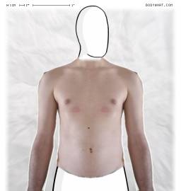 Torso