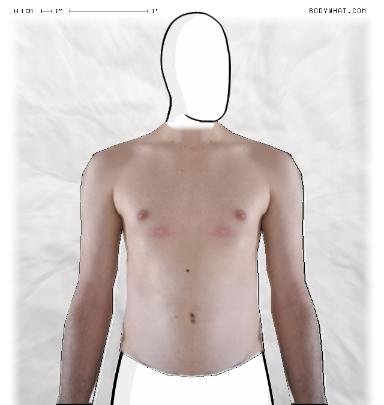 Muscle Morphing