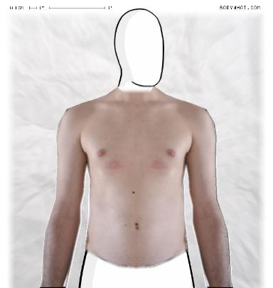 Slim Morphing