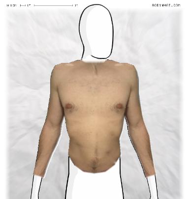Muscle Morphing