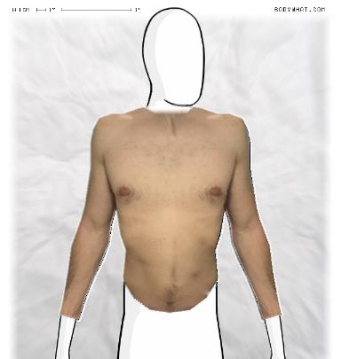 Slim Morphing