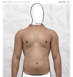 Torso