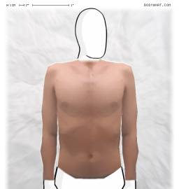 Torso