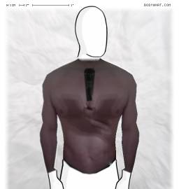 Torso