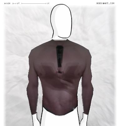 Muscle Morphing