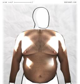 Torso