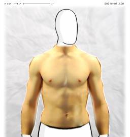 Torso