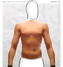 Torso