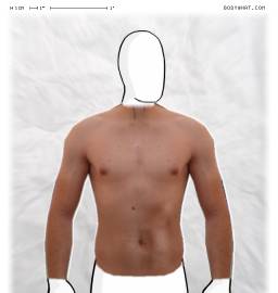 Torso
