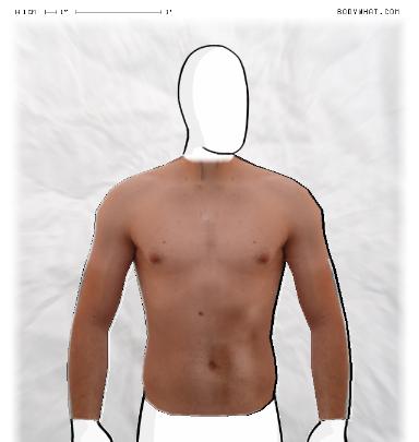 Muscle Morphing