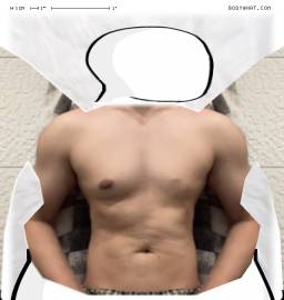 Torso