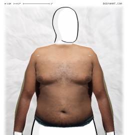 Torso