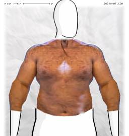 Torso