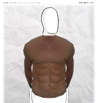 Muscle Morphing