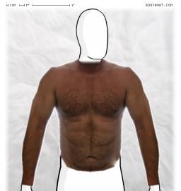 Torso