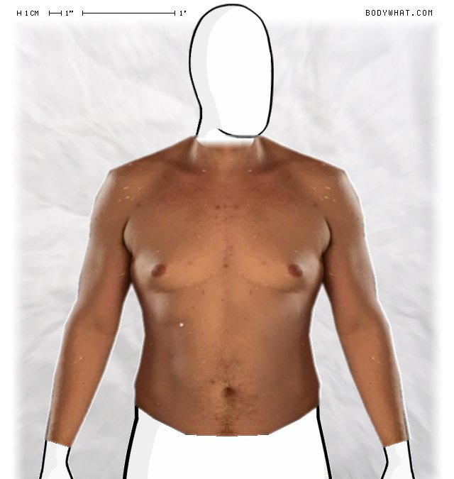 Picture 1