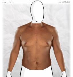 Torso