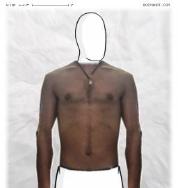 Torso