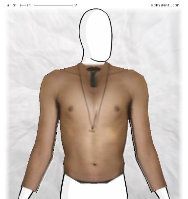 Muscle Morphing