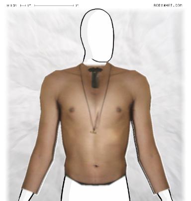Slim Morphing