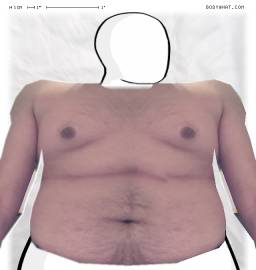 Torso