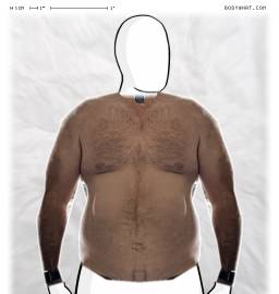Torso