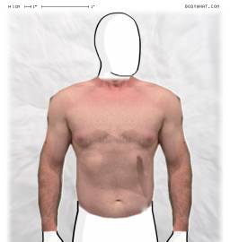 Torso