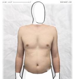 Torso