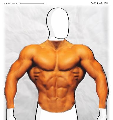 Muscle-ing up