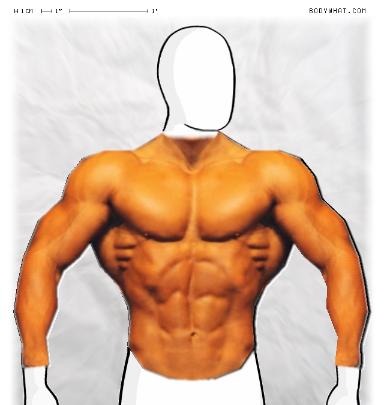 Muscle-ing up