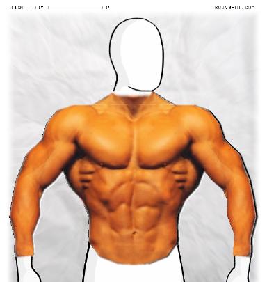 Muscle-ing up