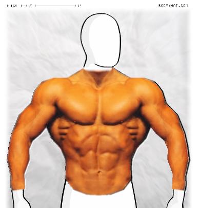 Muscle-ing up