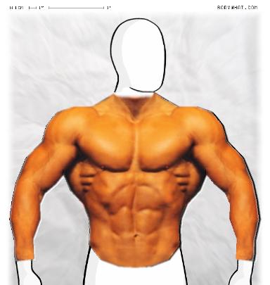 Muscle-ing up
