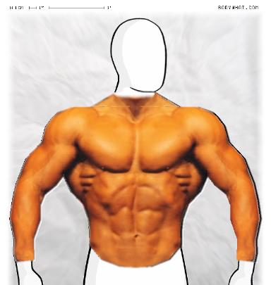 Muscle-ing up
