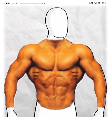 Muscle-ing up