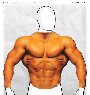 Muscle-ing up