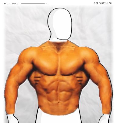 Muscle-ing up