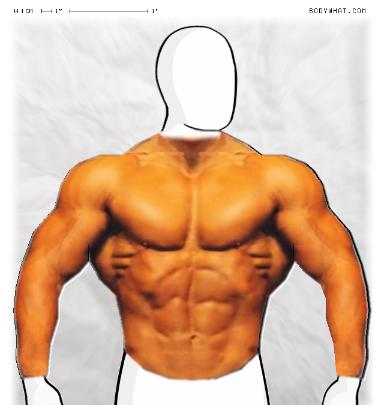 Muscle-ing up