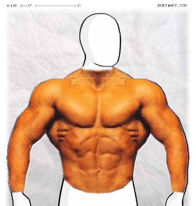 Muscle-ing up