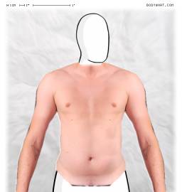 Torso