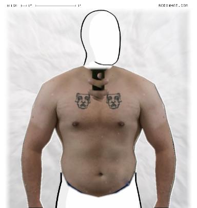 Slim Morphing